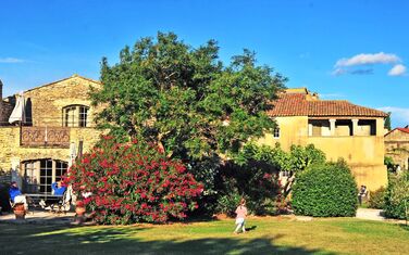 Naturbewachsenes Appartement