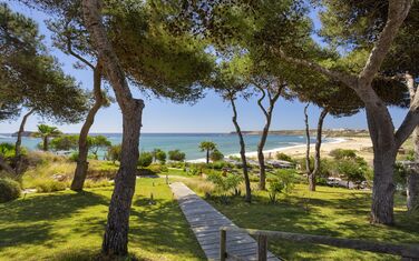 schöner weg zum Strand umwachsen von Natur