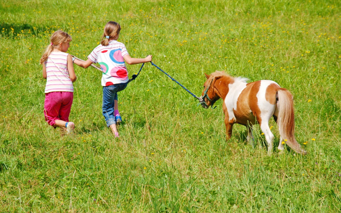 Zwei Kinder Spielen auf einer Wiese mit einem Pony 